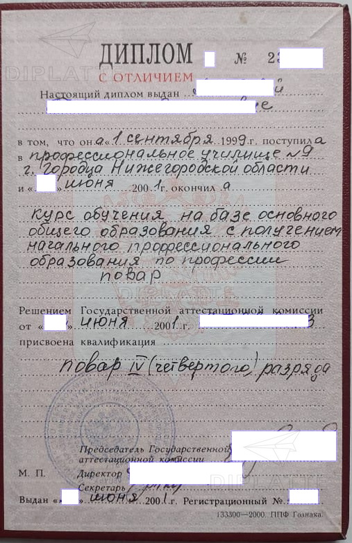 Диплом ПУ №9 г. Городец Нижегородская обл. с отличием 2001 г. Продавец продовольственных и непродовольственных товаров, контроллёр-кассир